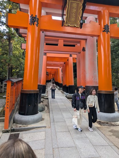 Torii gates